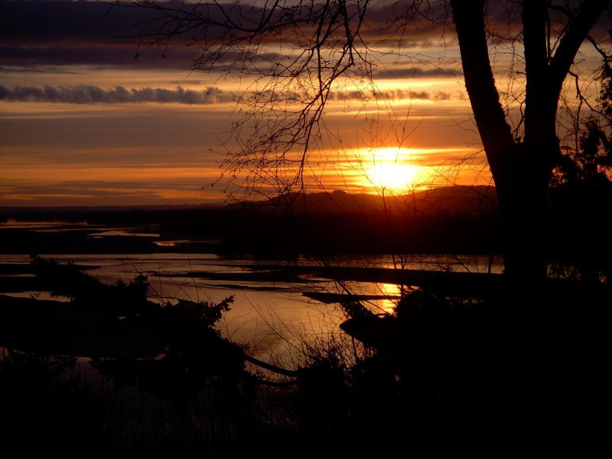 تشيليواك The Fraser River'S Edge B&B Lodge المظهر الخارجي الصورة